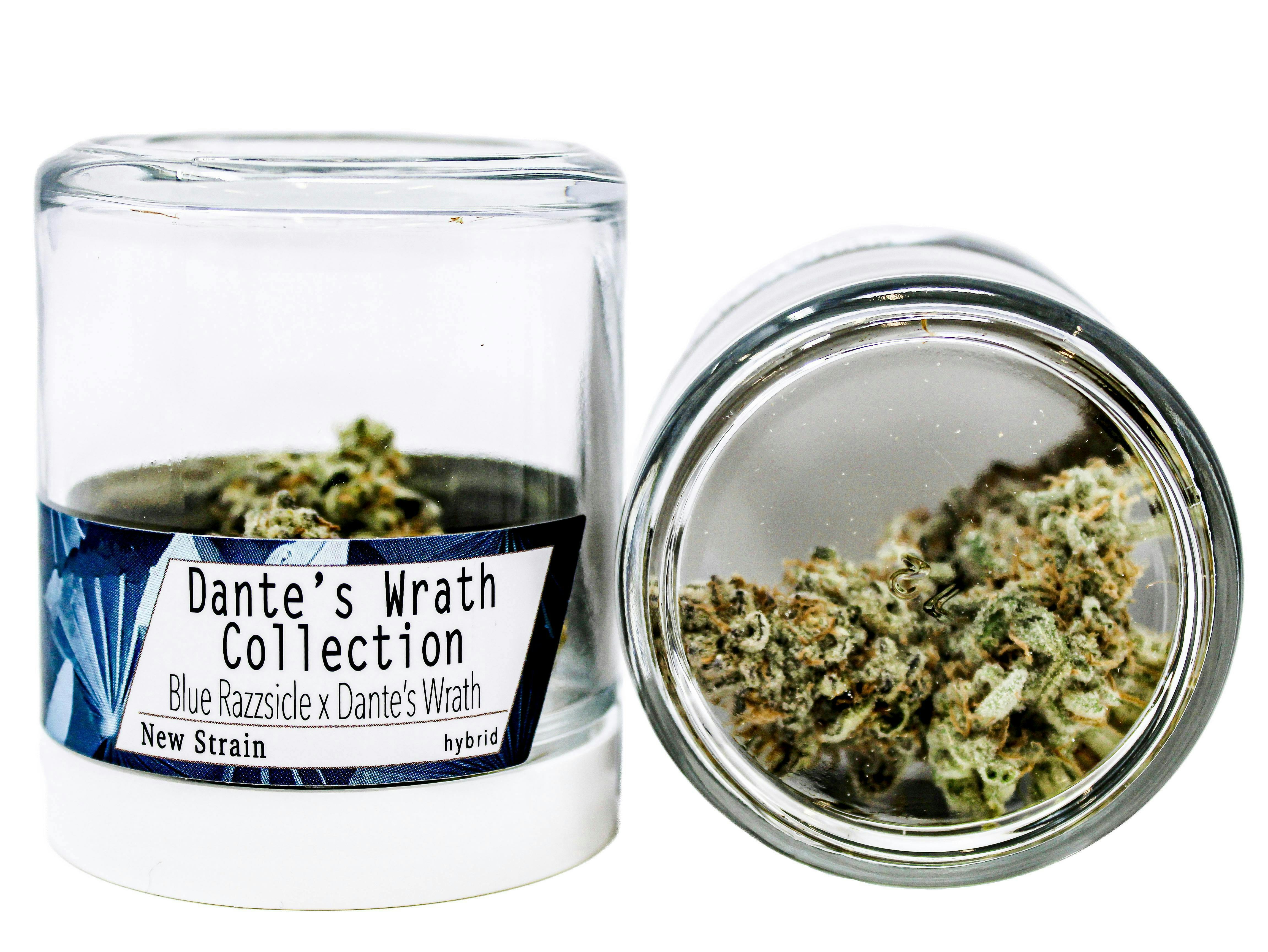 Blue Razzsicle x Dantes Wrath | Big Buds | 3.5g by Fifty Fold