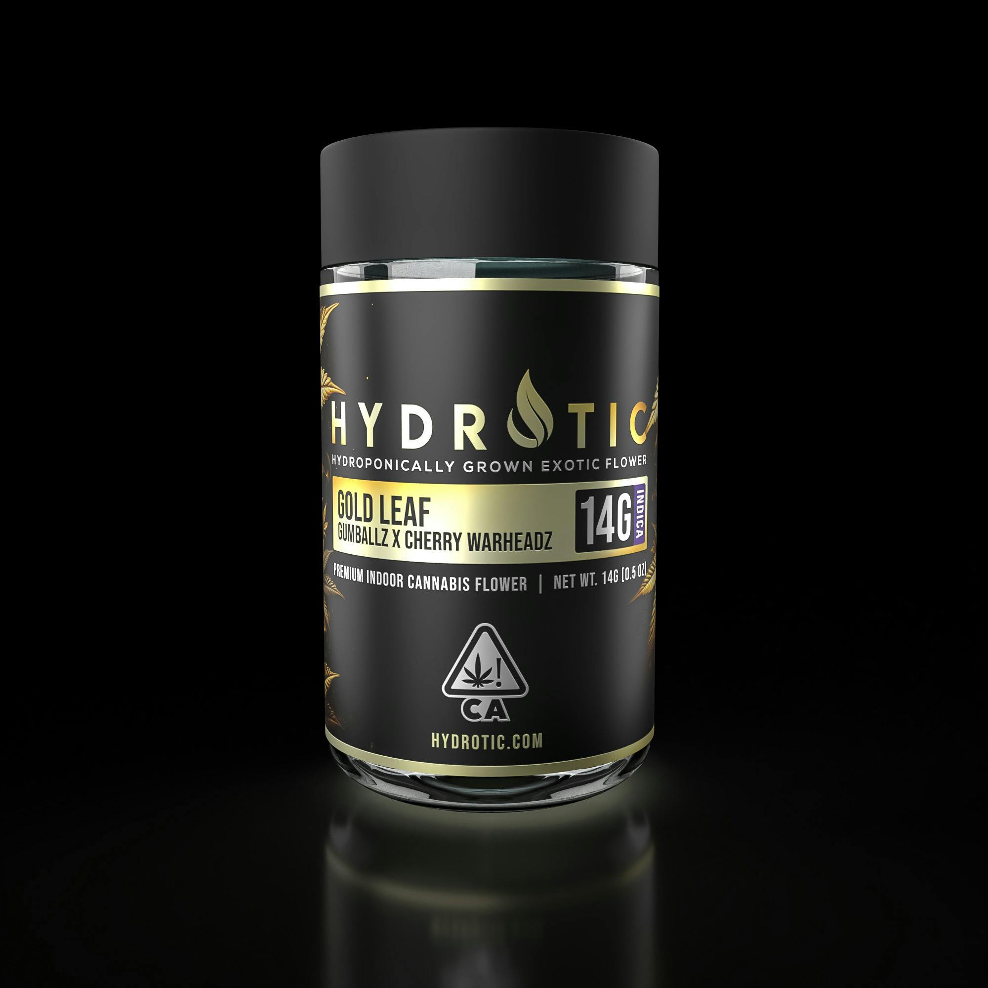 Hydrotic: Gold Leaf