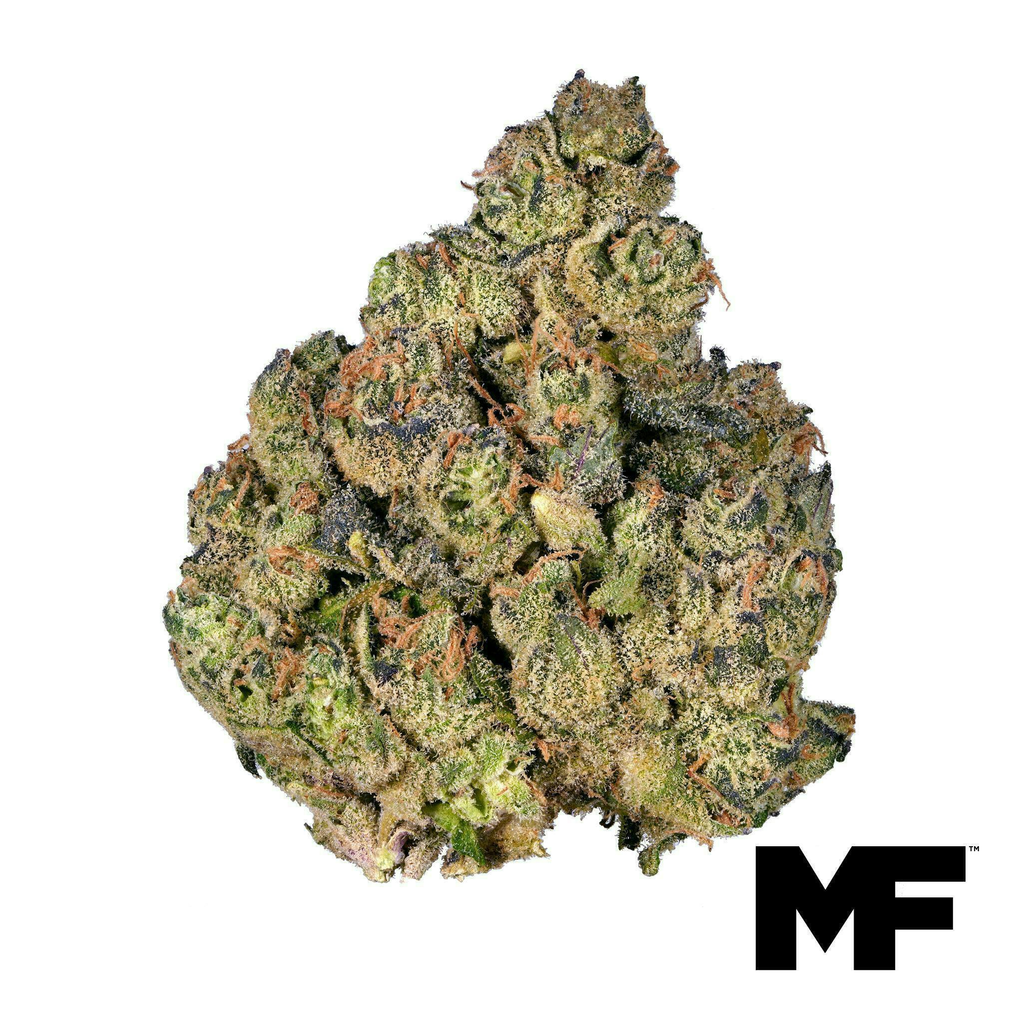 Apples and Bananas | Big Buds | 14.15g by Modern Flower