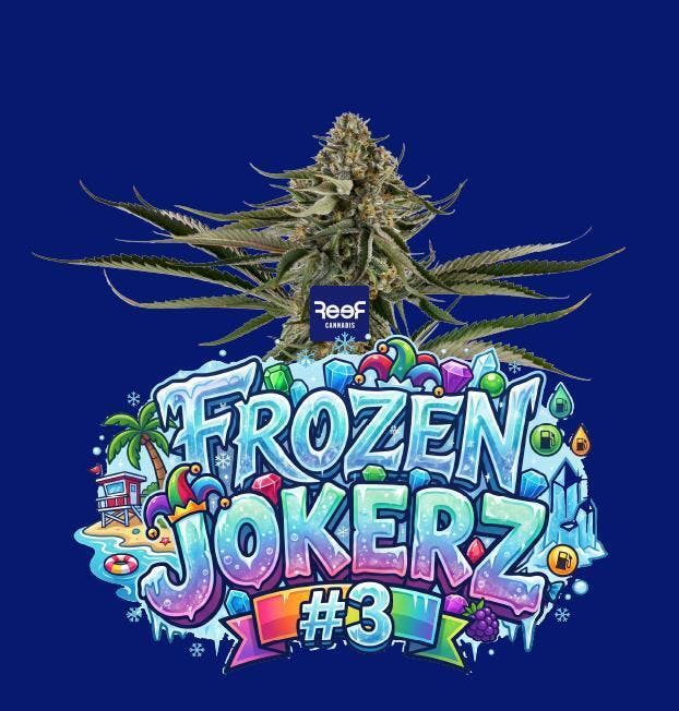 Frozen Jokerz #3 Small buds by REEF Cannabis