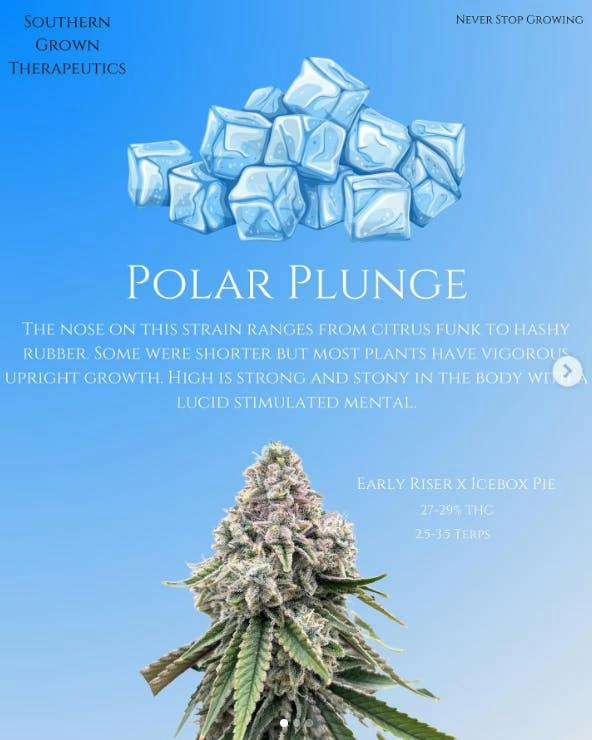 Polar Plunge | Big Buds | 3.5g by Southern Grown Therapeutics