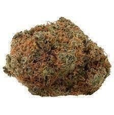 Fast Lane | Big Buds | 14g