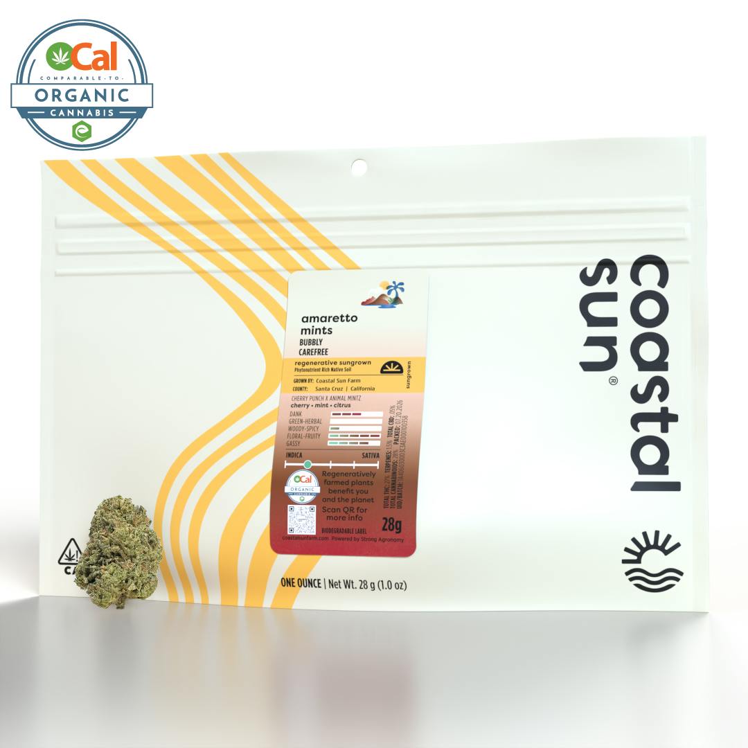Coastal Sun: Amaretto Mintz