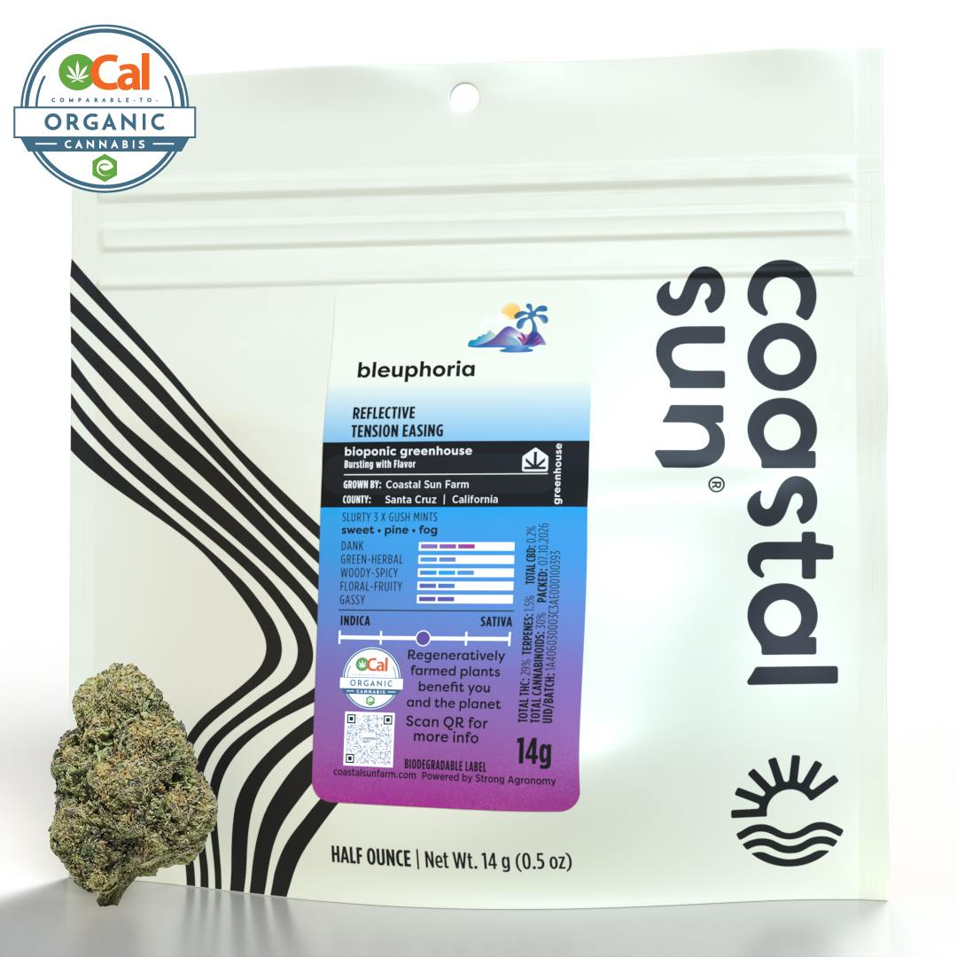 Coastal Sun | Bleuphoria | Greenhouse Flower | 14g by Coastal Sun