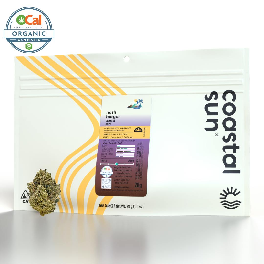 Coastal Sun: Hash Burger - Sungrown - 28g