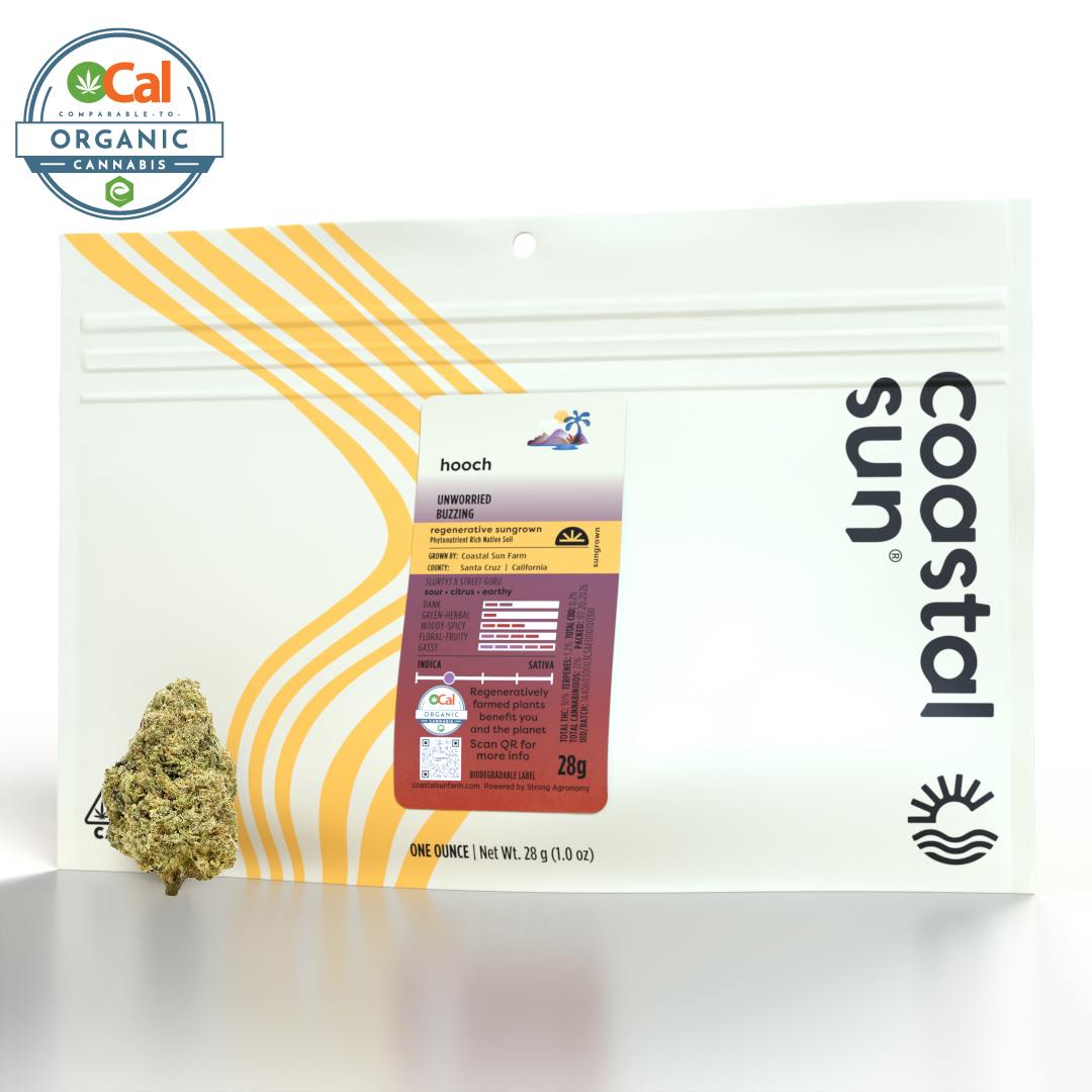 Coastal Sun: Hooch - Sungrown Flower - 28g