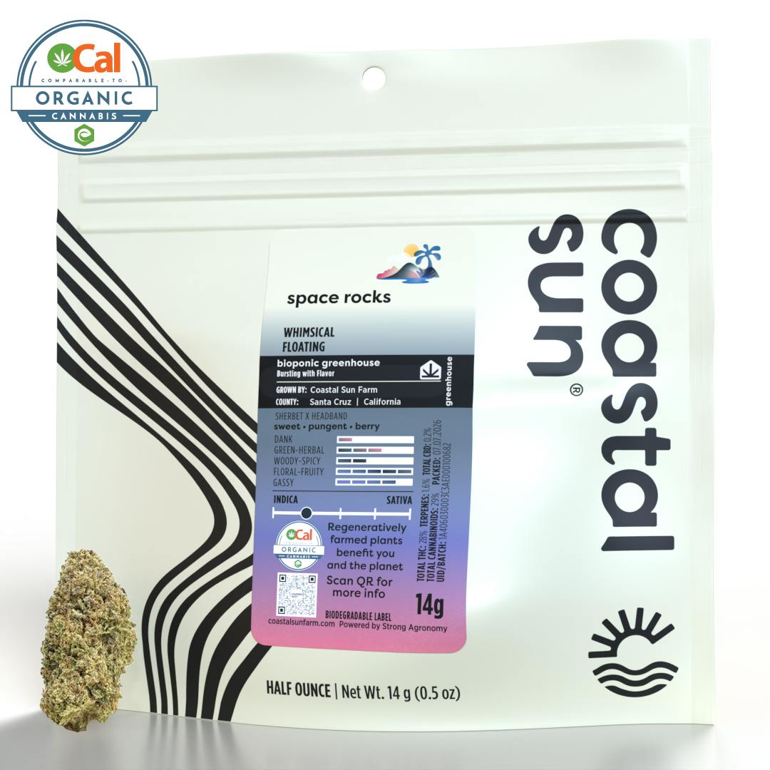 Coastal Sun | Space Rocks | Greenhouse Flower | 14g
