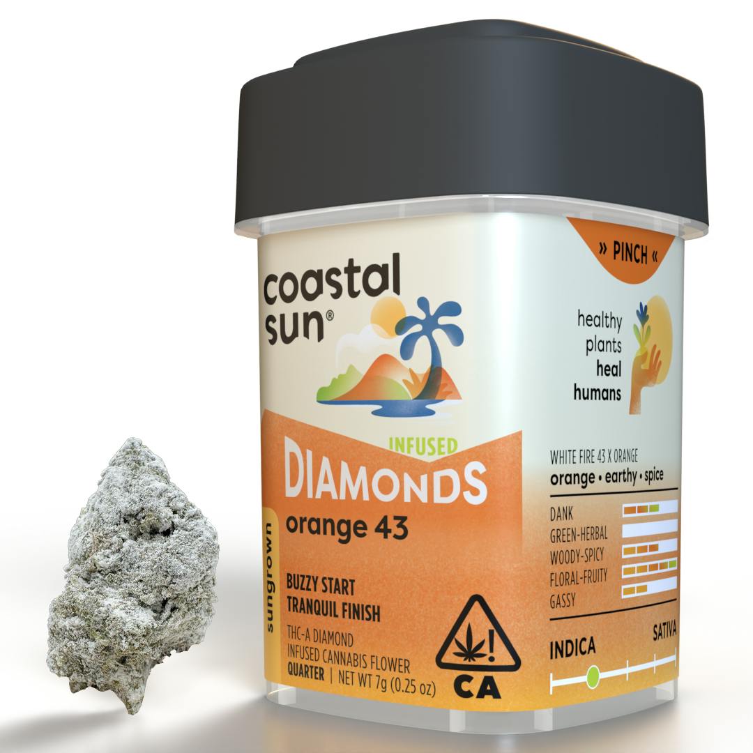 Coastal Sun: Orange 43