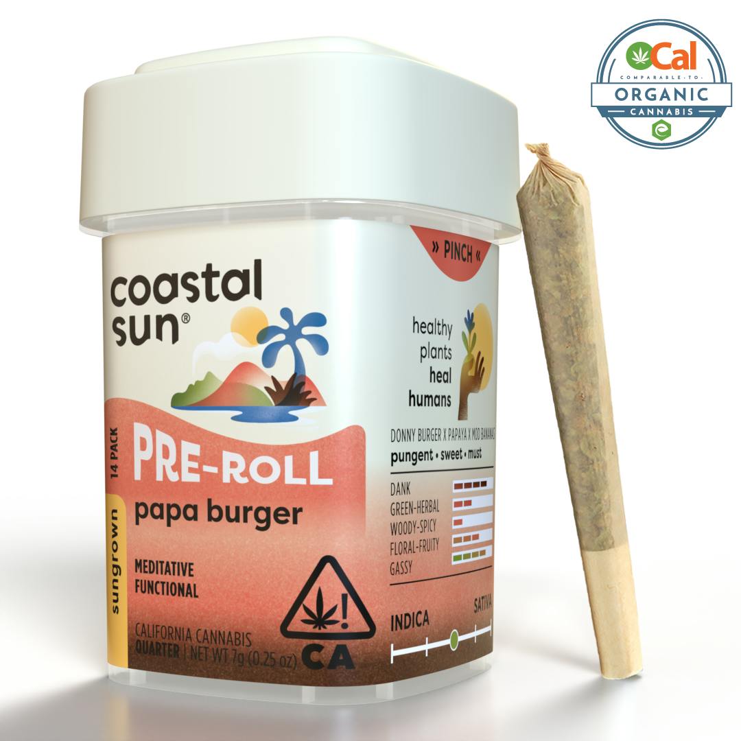 Coastal Sun | Papa Burger | Mini Joints | 0.5g | 14pk