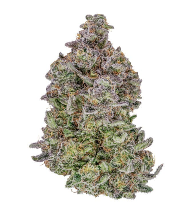Dutch Mints - Deli