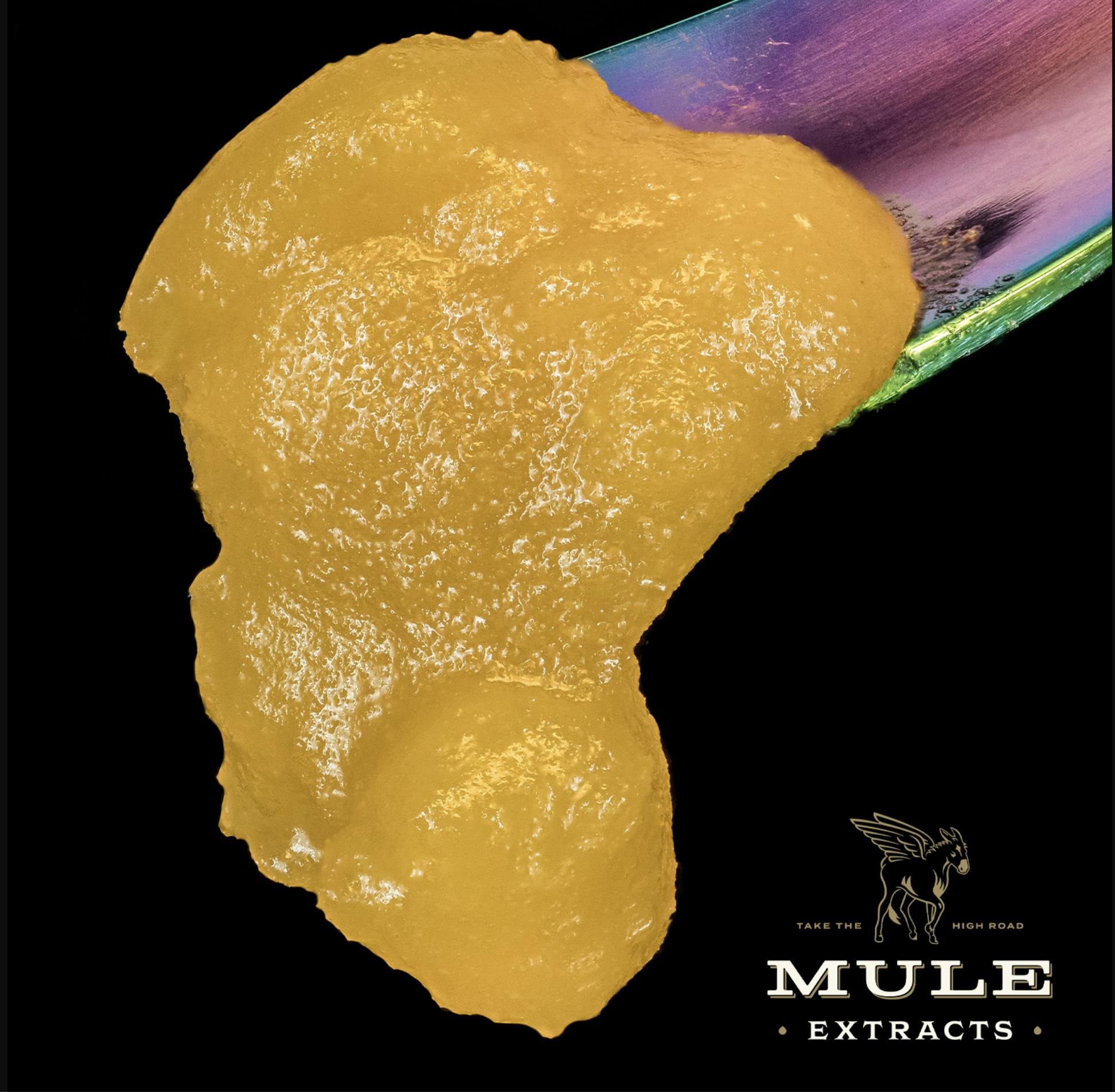 Mule Extracts: Clementine Sour Diesel