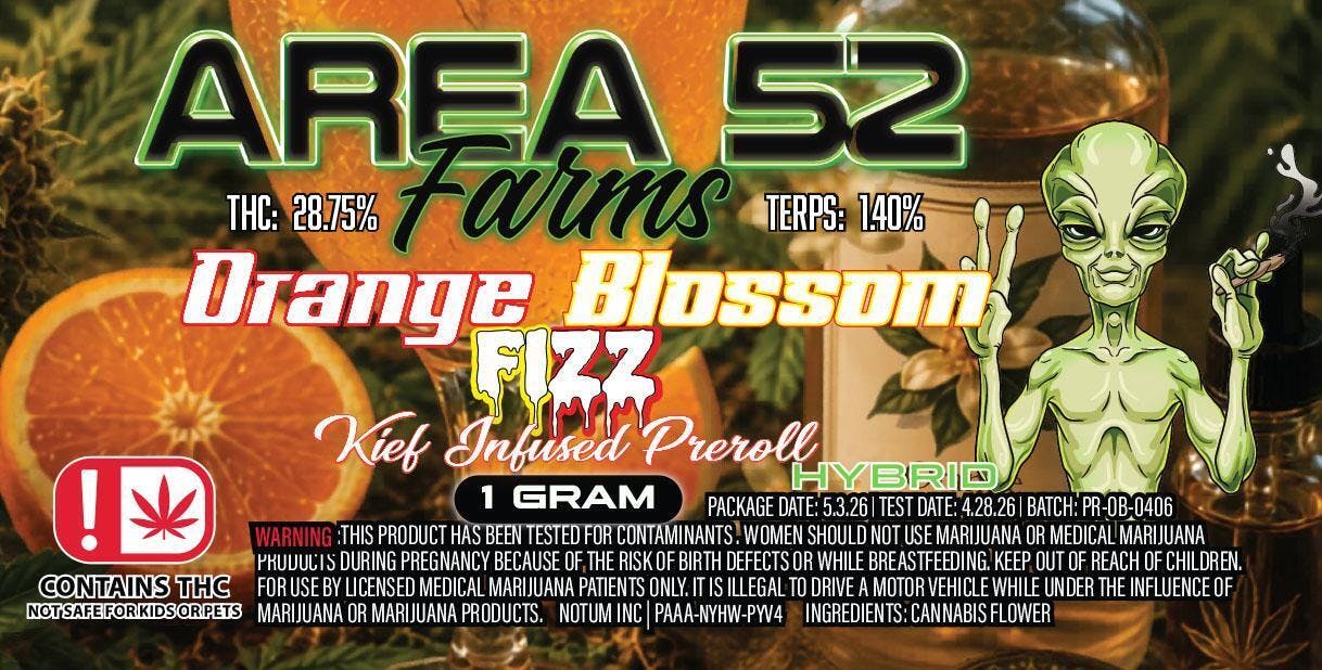 Orange Blossom Fizz | Infused Joint | 1g at Beyond The Pines - Cannabis Dispensary