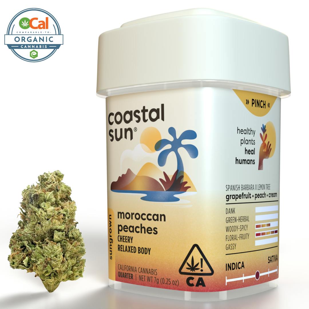 Coastal Sun: Moroccan Peaches