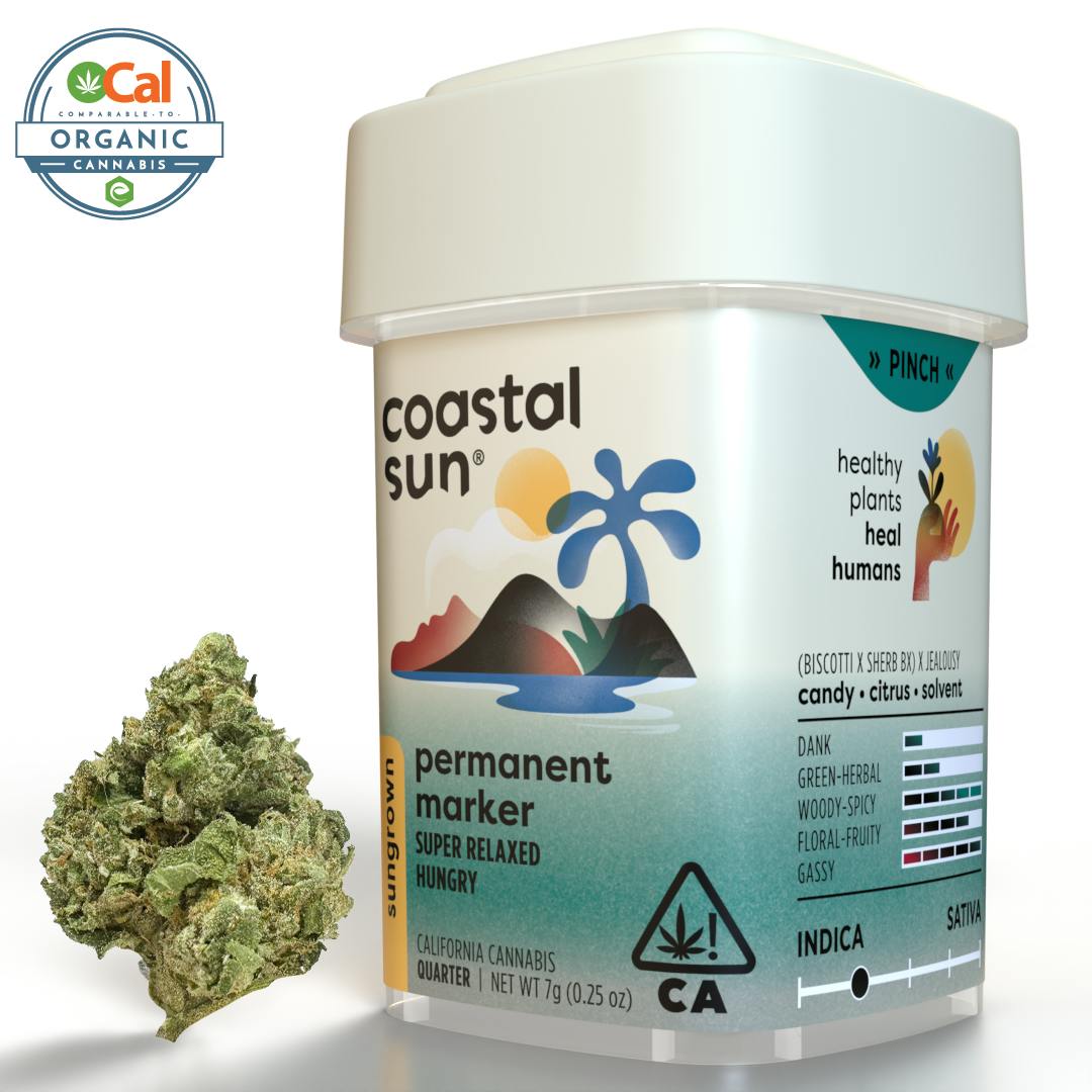 Coastal Sun: Permanent Marker