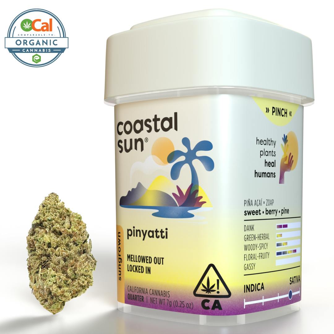 Coastal Sun | Pinyatti | Sungrown Flower | 7g