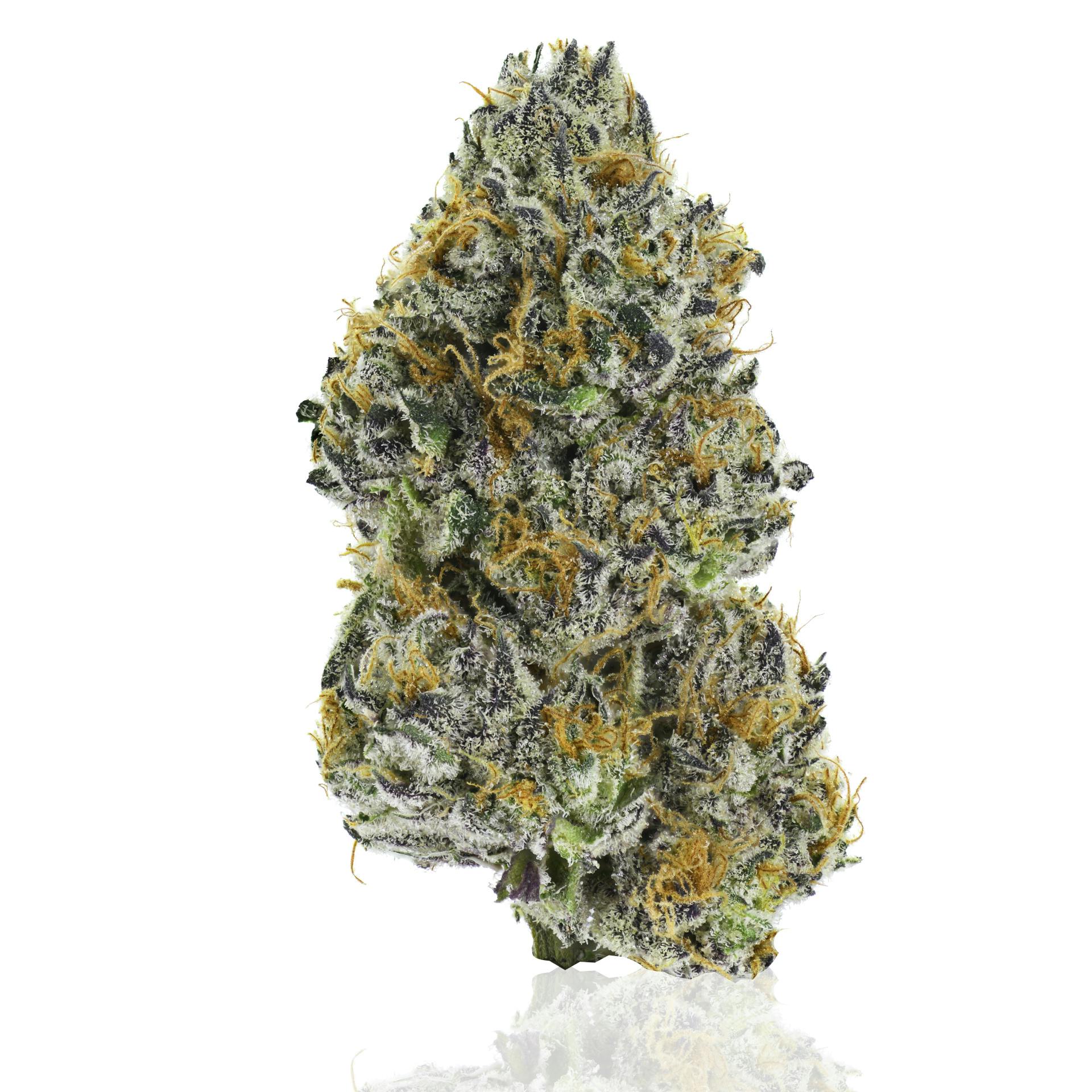 CAM: Tropicana Cherry