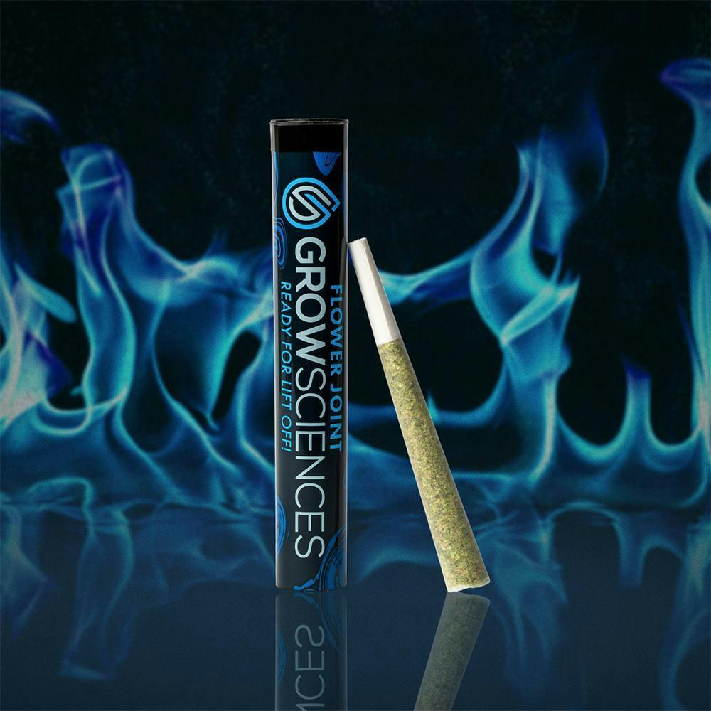 Florida Jack | Joints | 1g