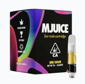 CATALYST: Mjuice - F23 X Sherb X Z