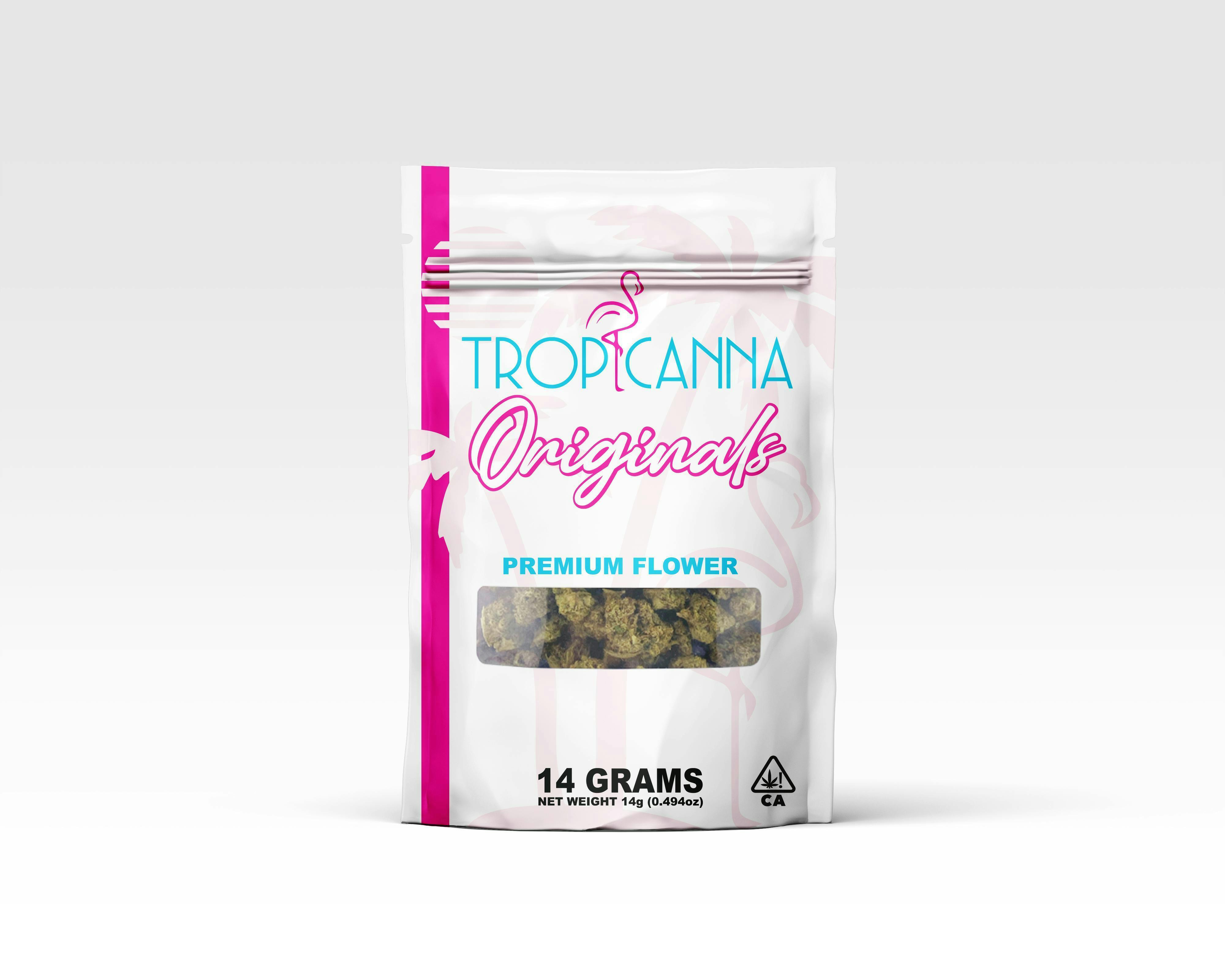 Tropicanna Originals: Amaretto Sour
