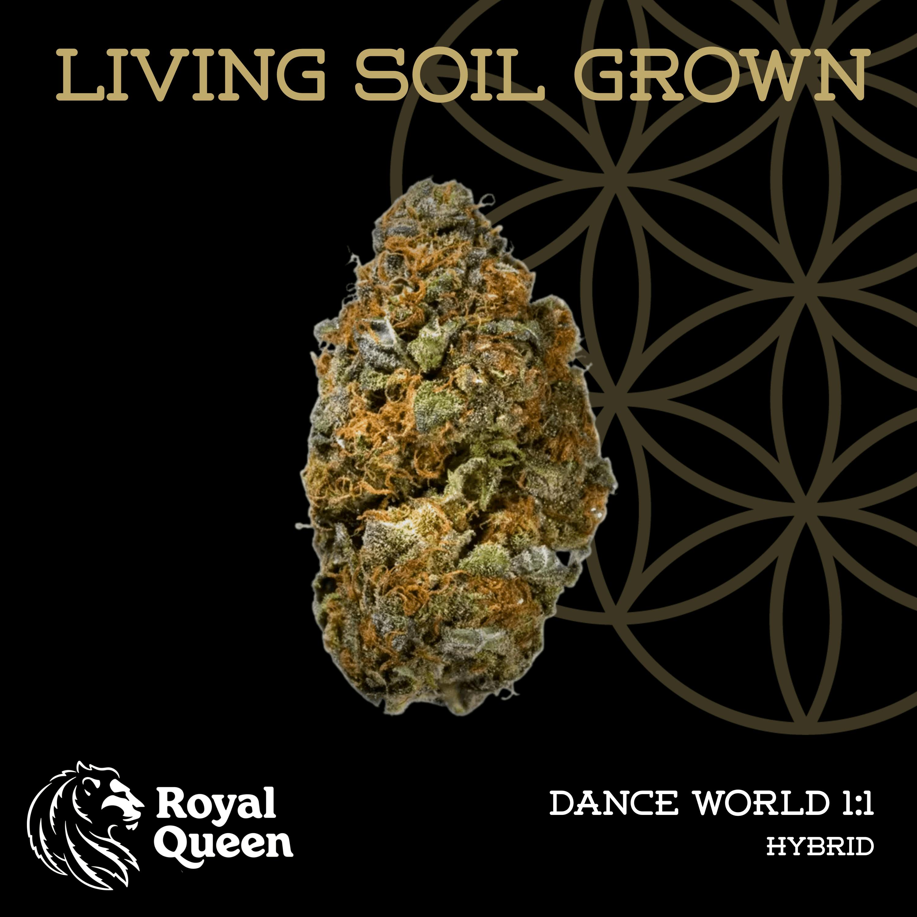 Dance World | Bulk Deli | Living Soil by Flower of Life