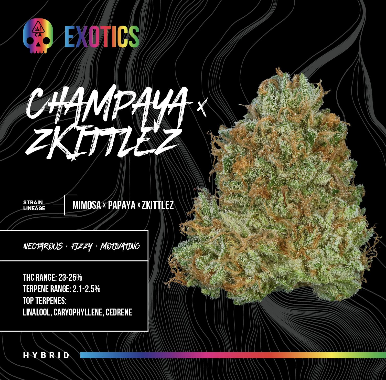 Bosky Genetics: Champaya X Zkittlez