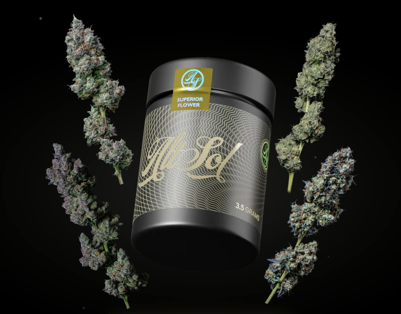 Cherry La Big Buds