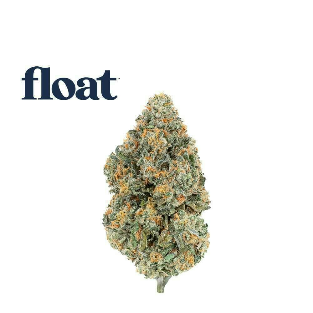 Double Stuffed | Big Buds | 3.5g by Float