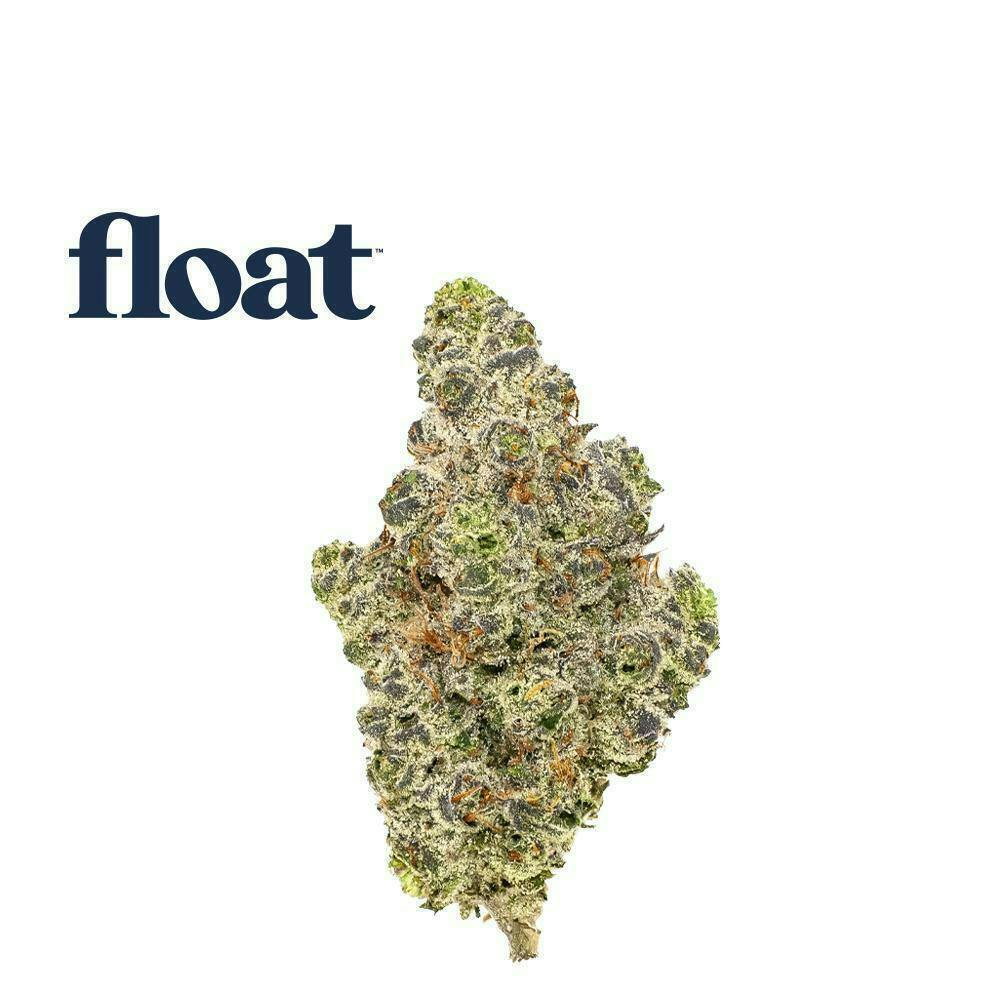 Quesojito | Big Buds | 3.5g by Float