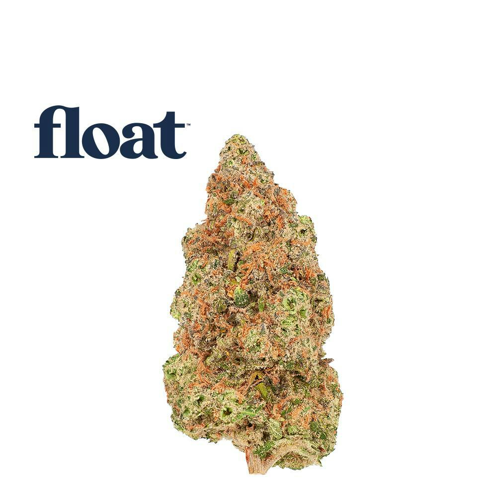Super Lemon Haze | Big Buds | 3.5g at Surterra Wellness