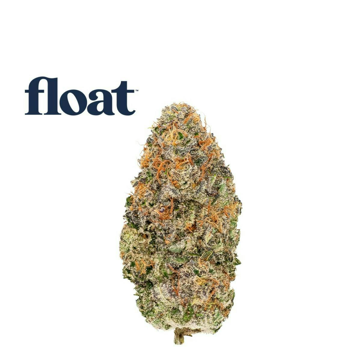 Blueberry Waffle | Big Buds | 3.5g by Float