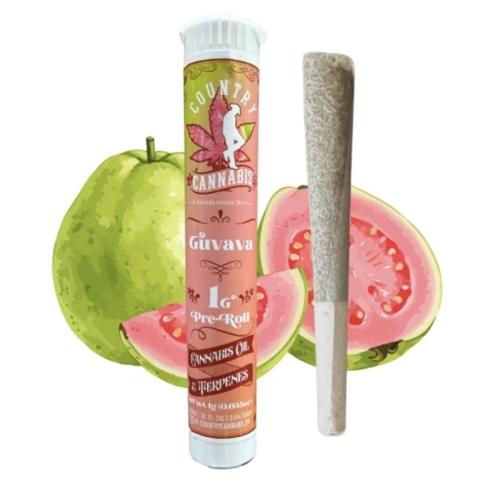 Guava | Infused Preroll Joint | 1g by Country Cannabis