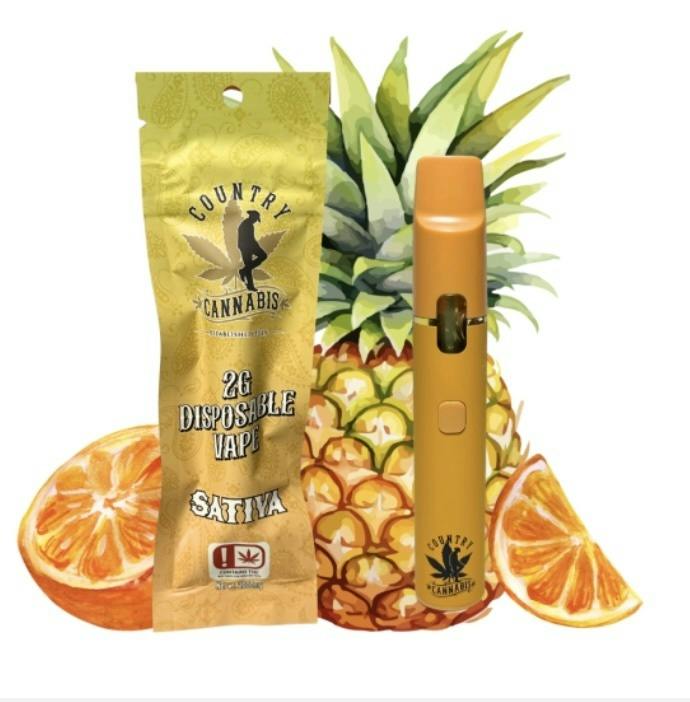 Pineapple Orange | Vape | 2g
