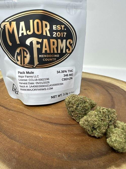 Pack Mule | Flower | 3.5g by Major Farms