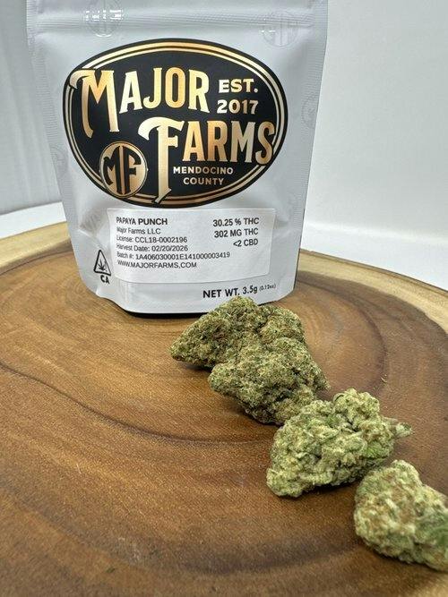 Papaya Punch | Flower | 3.5g by Major Farms