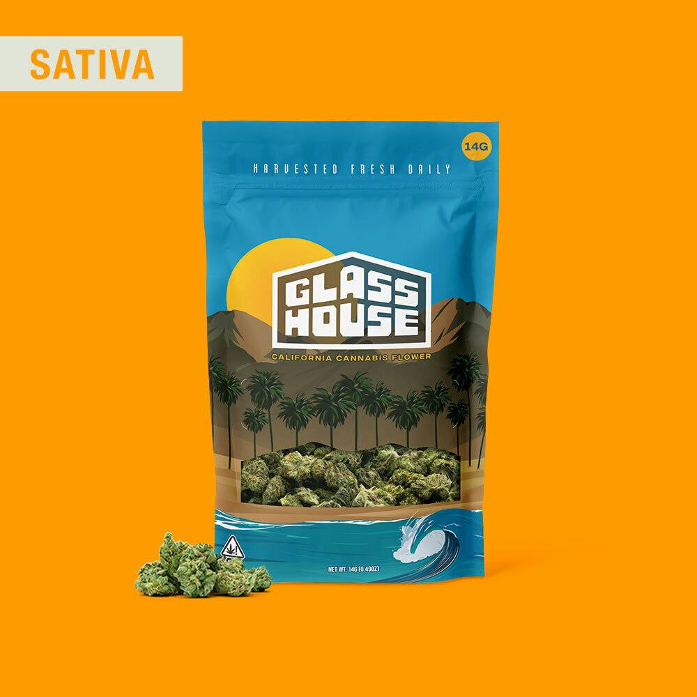 Glass House Farms: Super Sour Diesel