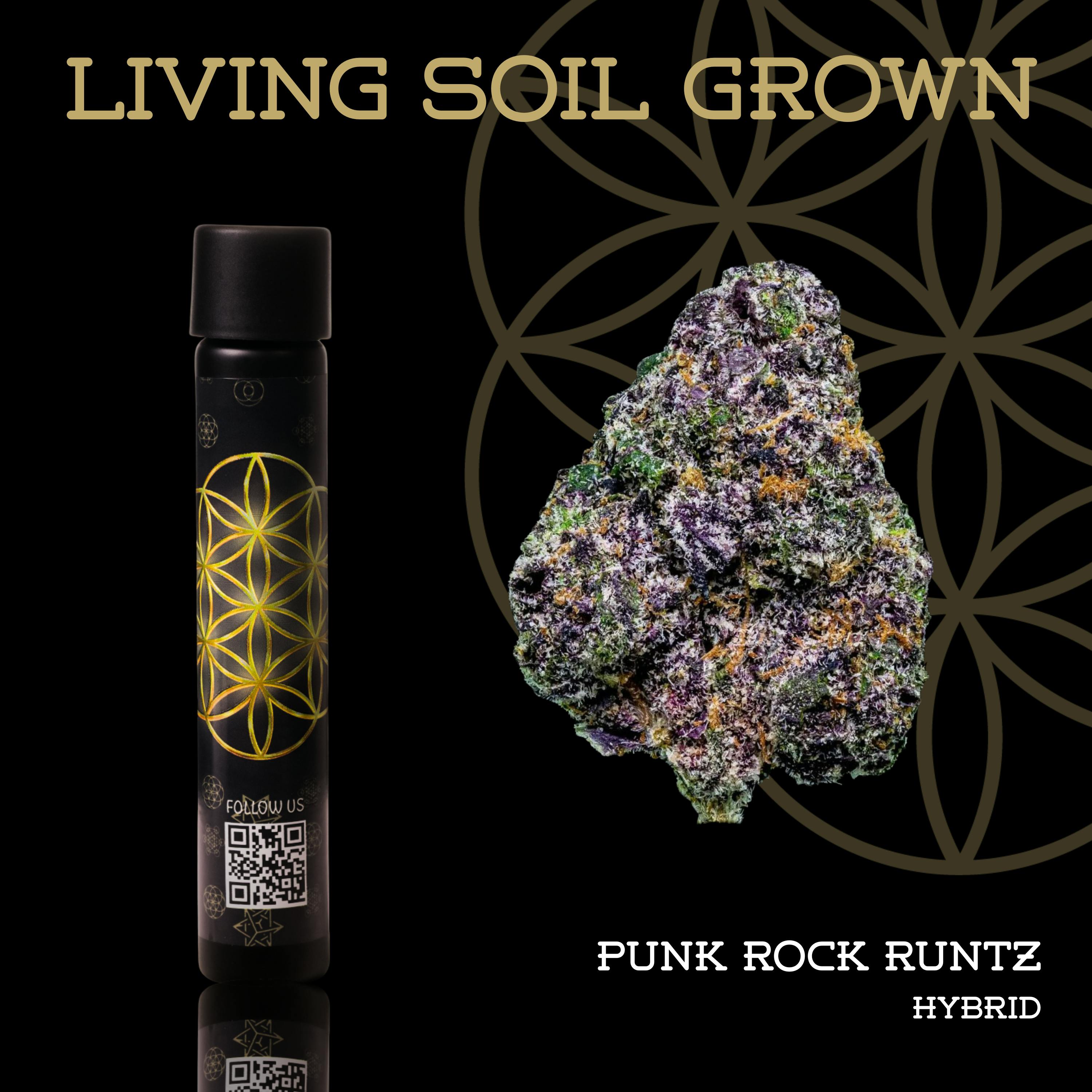 Punk Rock Runtz | Pre-Roll | 1g | Living Soil by Flower of Life