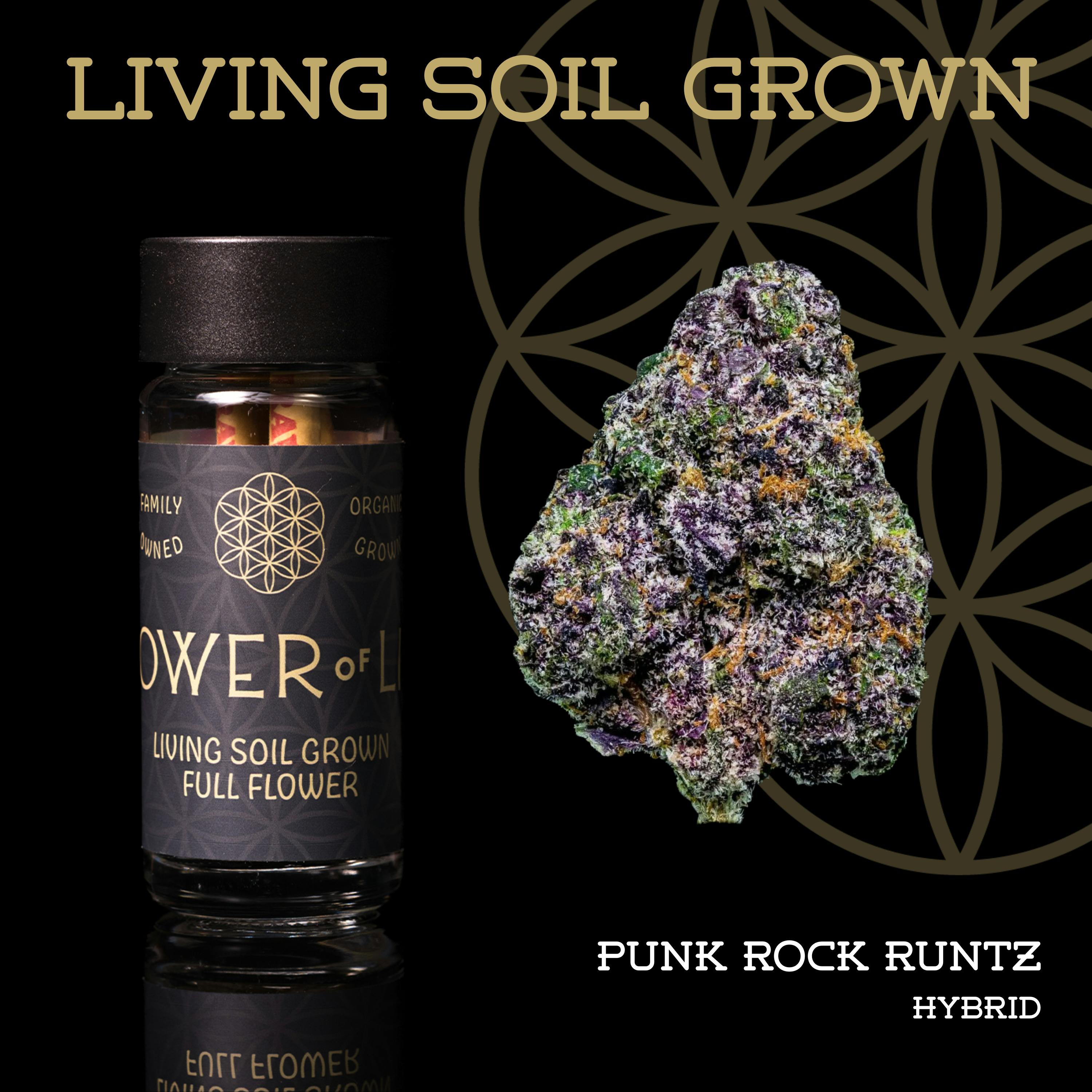 Punk Rock Runtz | Minis | 0.5g each | 5pk