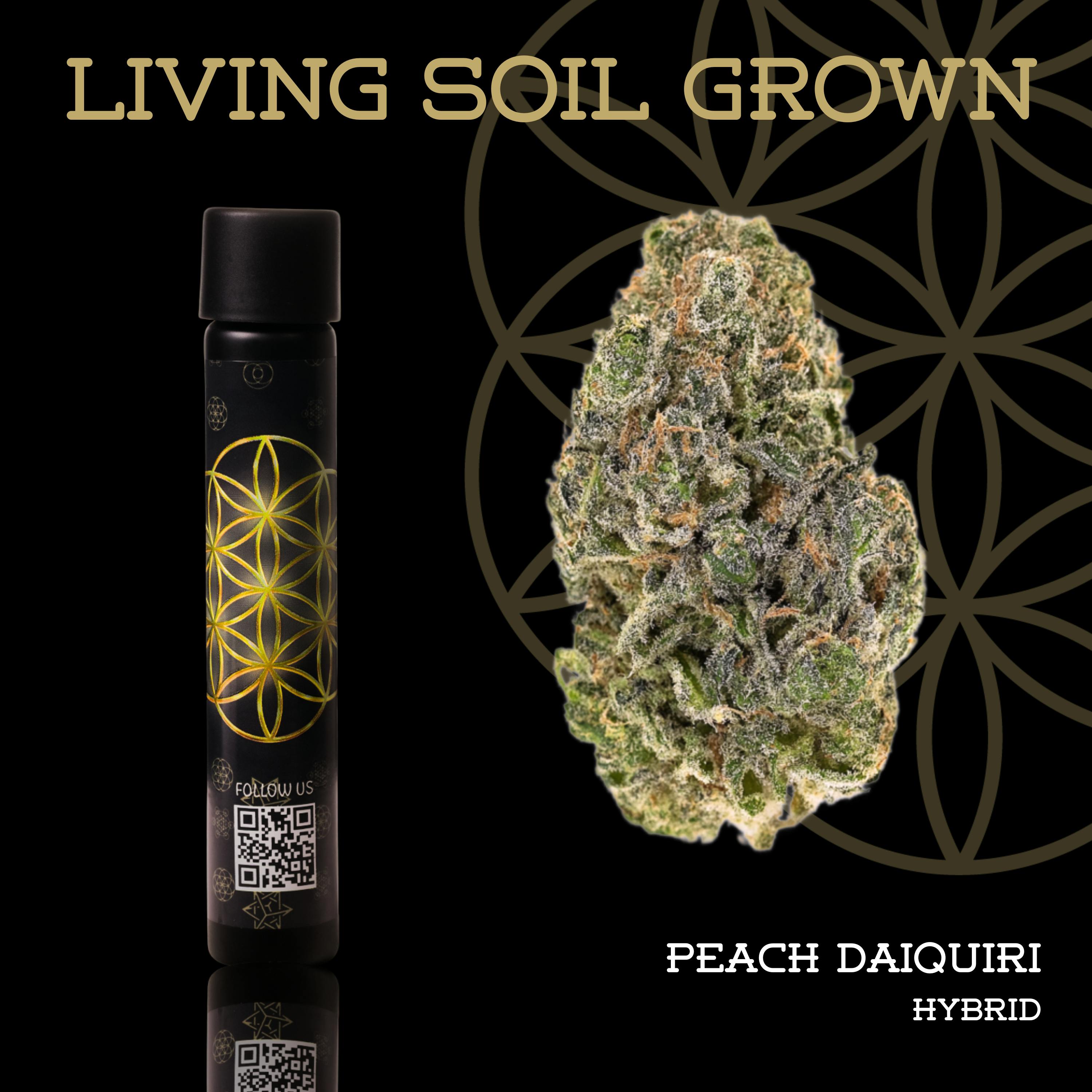 Peach Daiquiri | Pre-Roll | 1g | Living Soil by Flower of Life