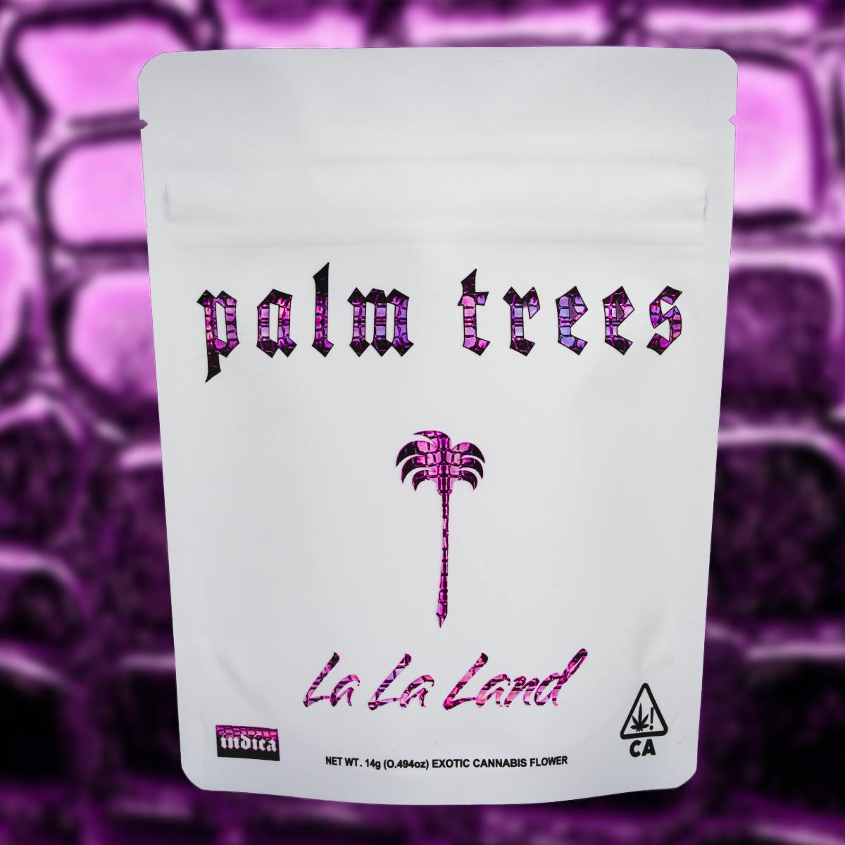 Palm Trees: Sherbet