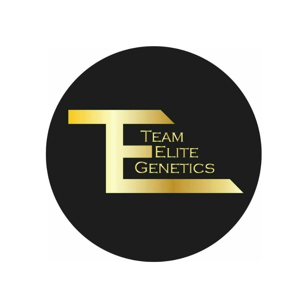 Team Elite Genetics: Cereal Milk