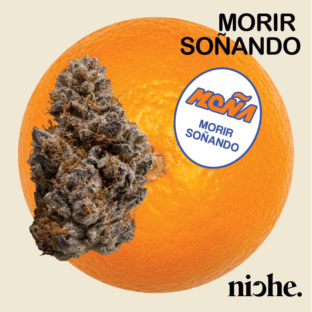 Moña Collab - Morir Soñando | 3.5g by Niche