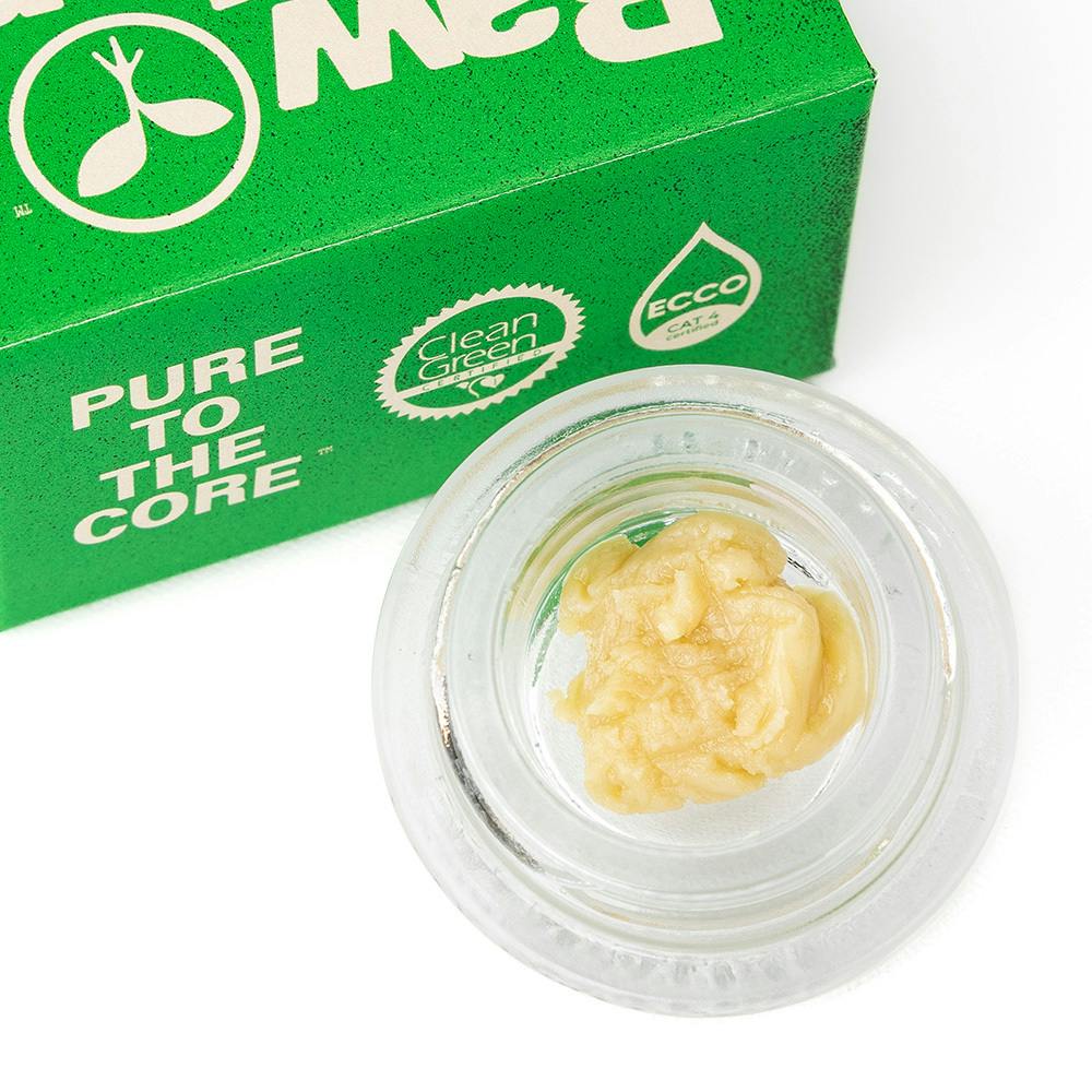 Raw Garden: Headband