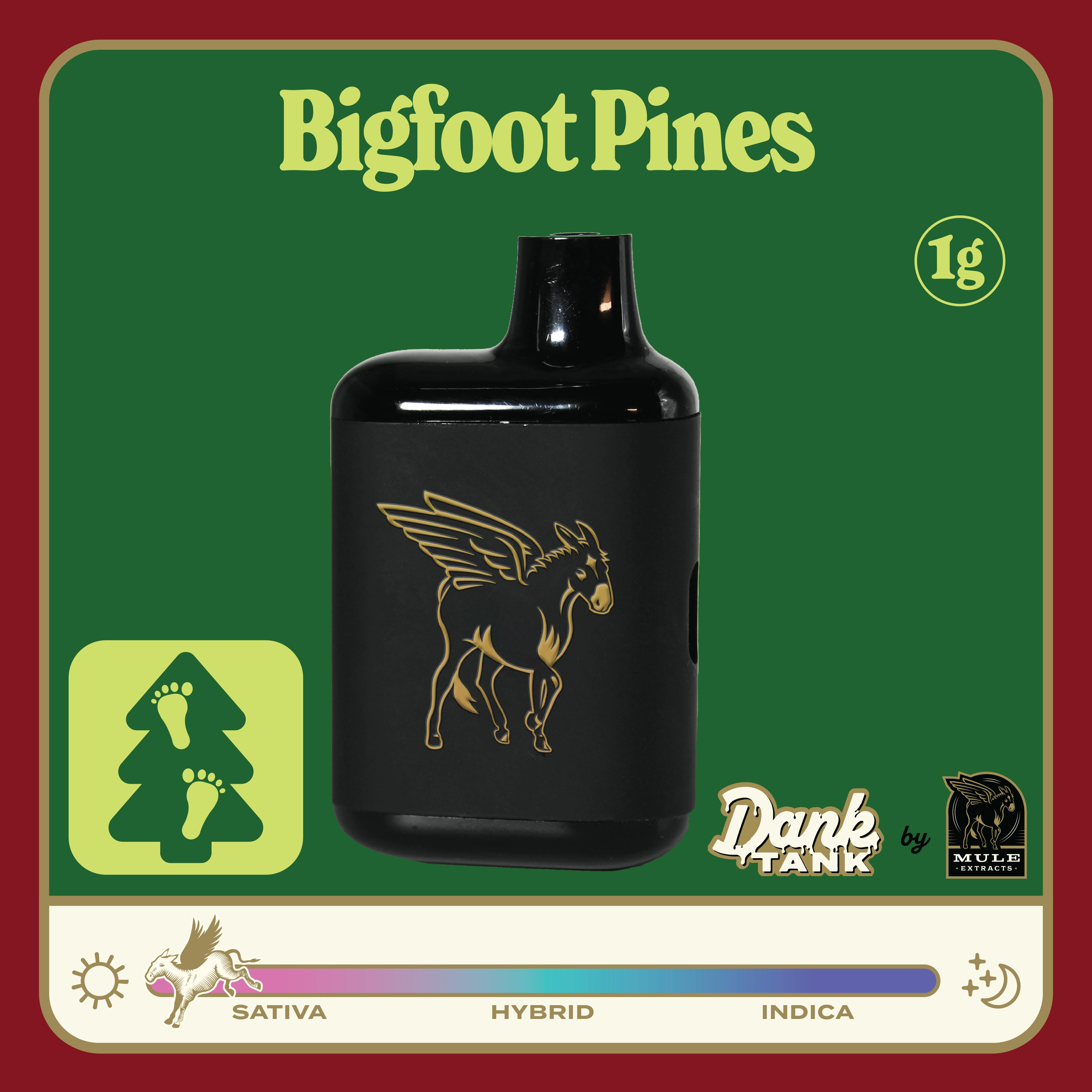 Mule Extracts: Bigfoot Pines