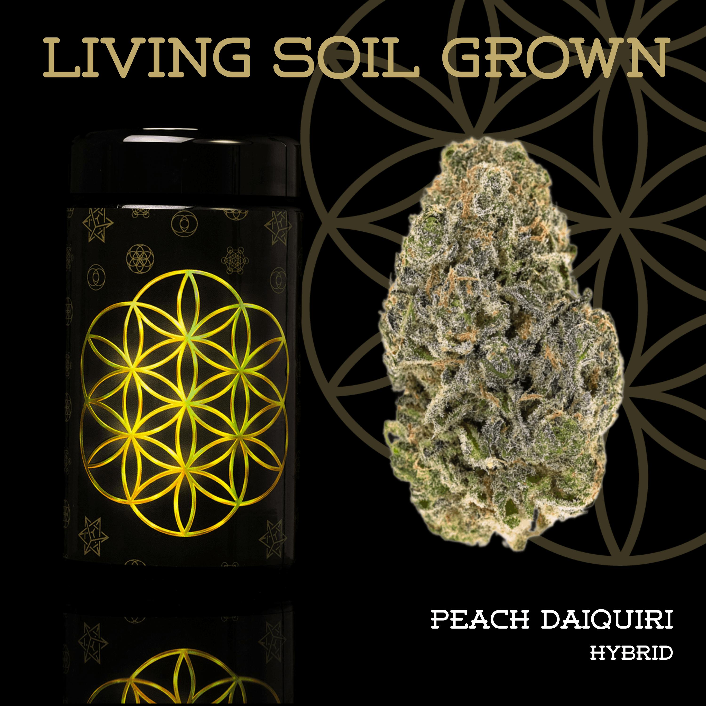 Peach Daiquiri | Prepack | Miron Jar | Living Soil by Flower of Life