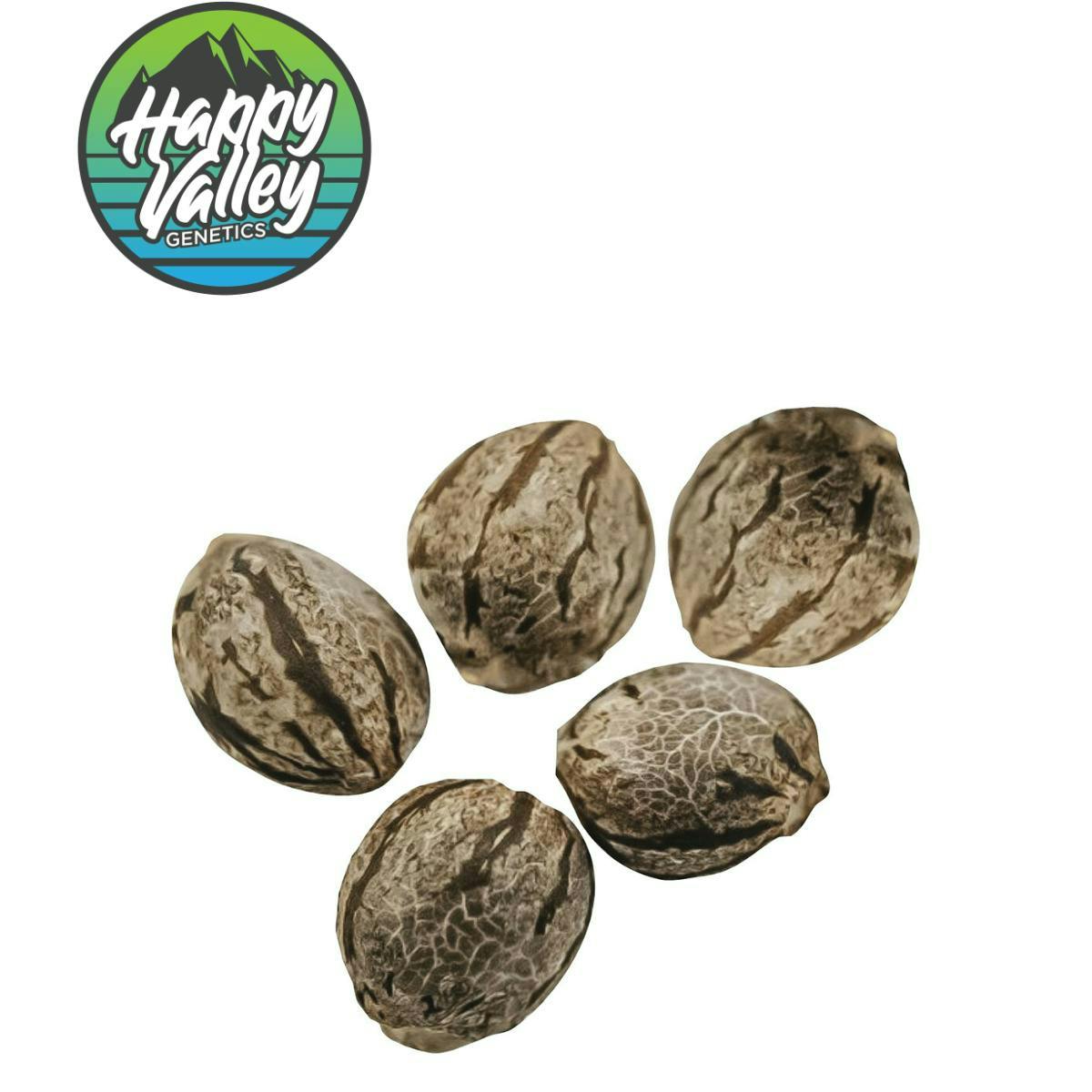 Happy Valley Genetics | Harlequin CBD | Feminized Seeds | 5 Pack
