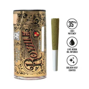 KINGROLL: Pineapple Glue