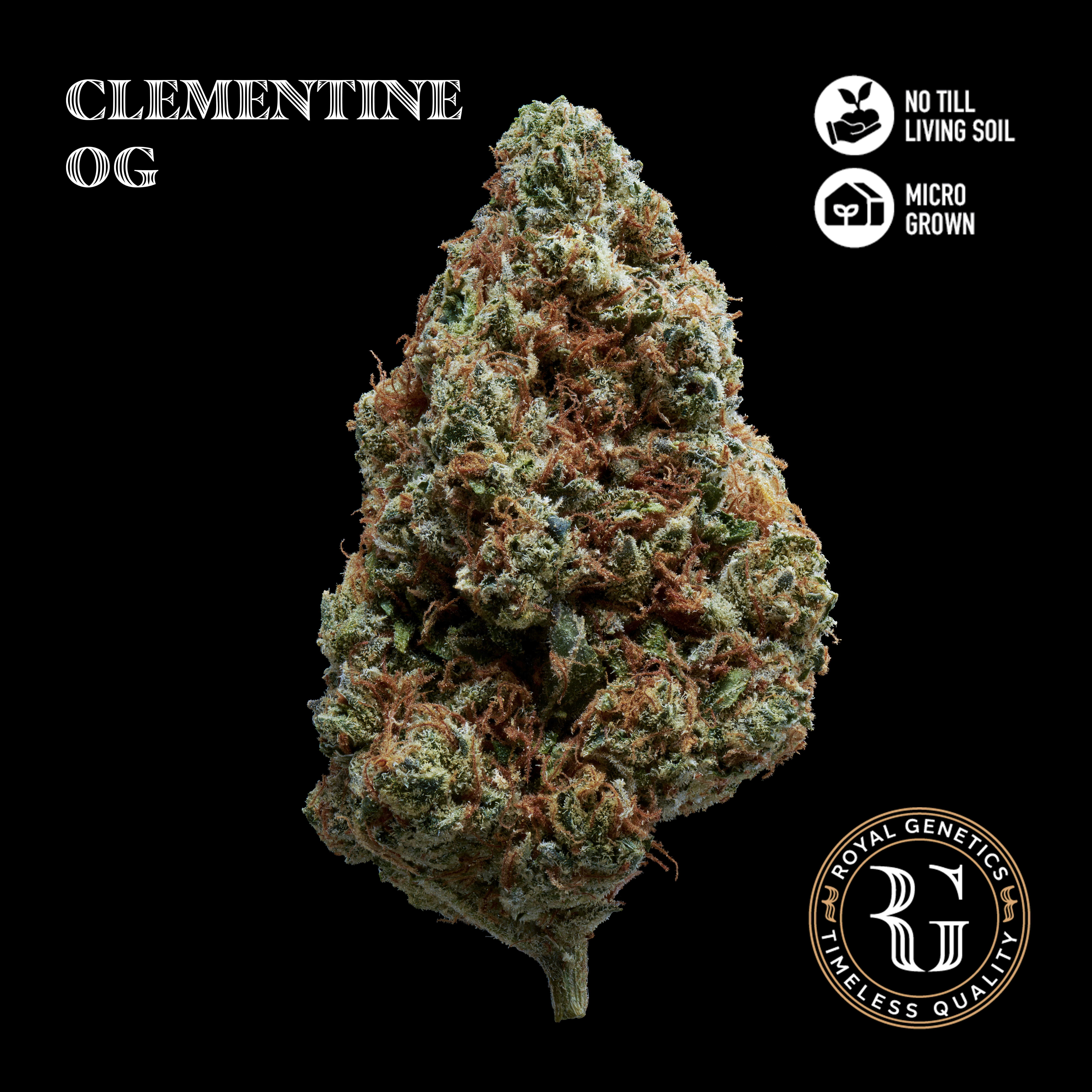 Clementine OG 3.5g Flower Jar by Royal Genetics
