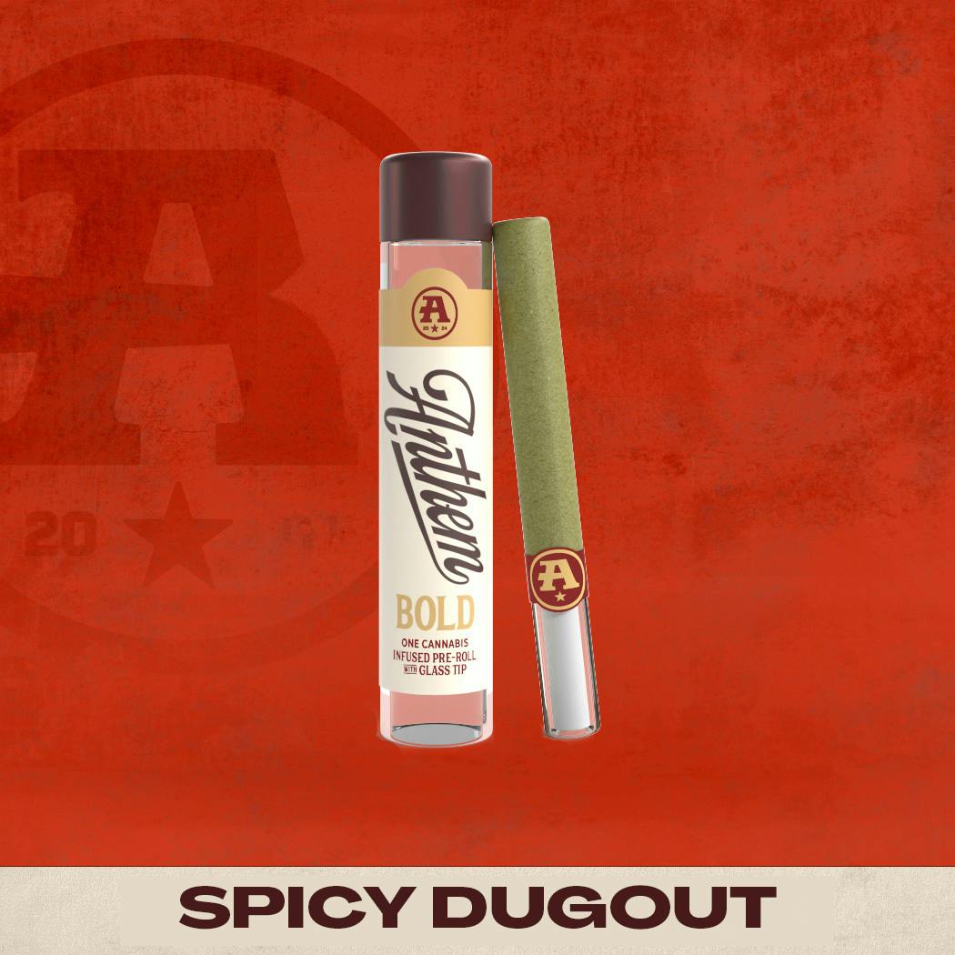 Bold Glass Tip Infused Spicy Dugout Pre-Roll 1g