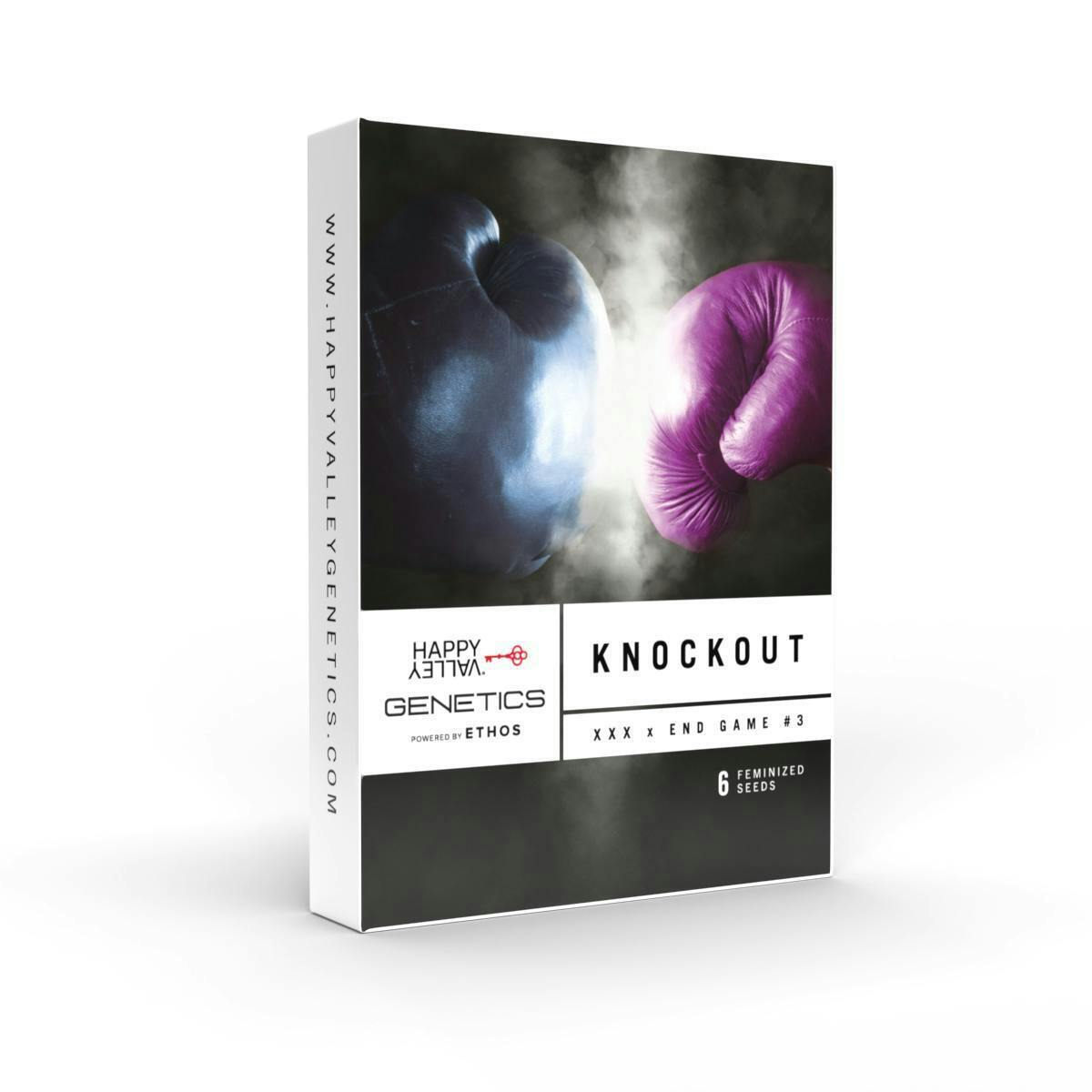 Happy Valley Genetics | Knockout | Feminized Seeds | 6 Pack at Happy Valley - East Boston Medical Marijuana and Recreational Dispensary