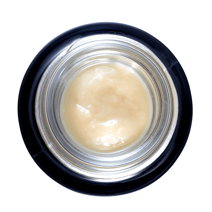 Team Elite Genetics: Freeze Cup